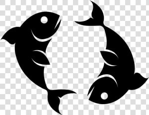 Fish killer Whale marine   Pisces Monthly Horoscope 2019  HD Png Download