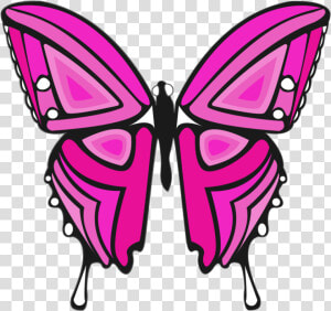   Pink And Purple Butterfly   Transparent Cartoons   Pink Purple Butterfly  HD Png Download