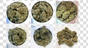 Kind Guy Delivery Maine Weed   Igneous Rock  HD Png Download