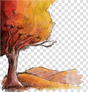 Autumn Drawing Euclidean Vector   Autumn Drawing  HD Png Download