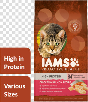 Iams Proactive Health High Protein With Chicken  amp  Salmon   Iams Salmon Cat Food  HD Png Download