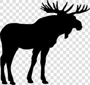 Moose Shape   Moose Icon Png  Transparent Png