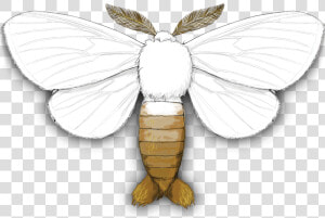 Brown tail Moth   Brown Tail Moth  HD Png Download