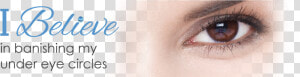 Transparent Eye Veins Png   Close up  Png Download