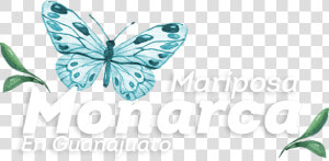 Borboletas Para Topo De Bolo  HD Png Download