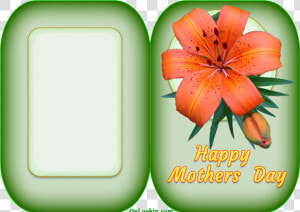 Happy Mothers Day Tiger Lily Flower A4 Card   Mother  39 s Day  HD Png Download