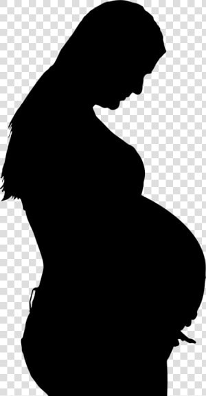 Zebra Print Pregnant Woman Png   Pregnant Woman Silhouette Transparent Background  Png Download