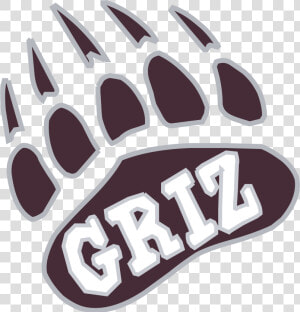 Montana Grizzlies Logo Png Transparent   University Of Montana Griz  Png Download