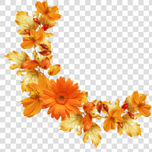 Orange Floral Border Png Image Background   Transparent Background Orange Flowers Png  Png Download