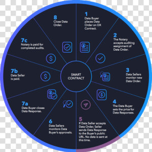 Wibson Protocol   Circle  HD Png Download