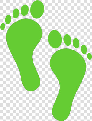 Green Walking Footprints Clipart   Footprint Clipart  HD Png Download