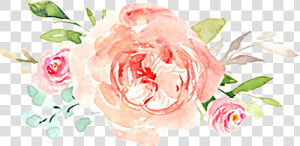  watercolor  flowers  floral  bouquet  blush  roses   Garden Roses  HD Png Download