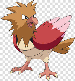 Spearow Pokemon  HD Png Download