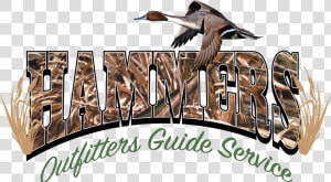 Hammers Outfitters Guide Service   Pintail  HD Png Download