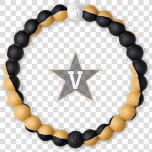 Slider Image 1 A   Bruins Lokai  HD Png Download