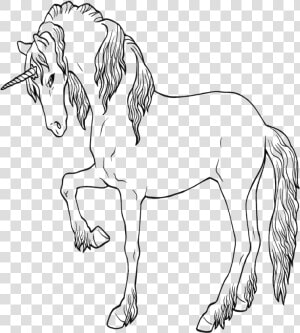 Unicorn Ausmalbild Drawing Coloring Book Dibujo De   Line Art  HD Png Download