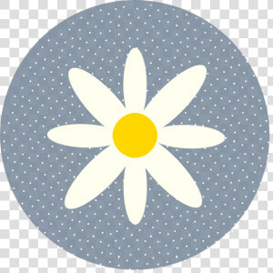 Daisy Polka Dot Circle Blue Svg Clip Arts   Daisy And Polka Dots  HD Png Download