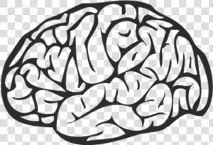 Brain Png Black   Brain Black And White Png  Transparent Png