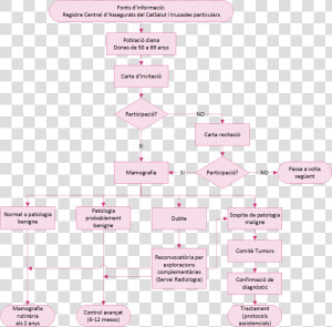 Esquema De Cancer De Mama  HD Png Download