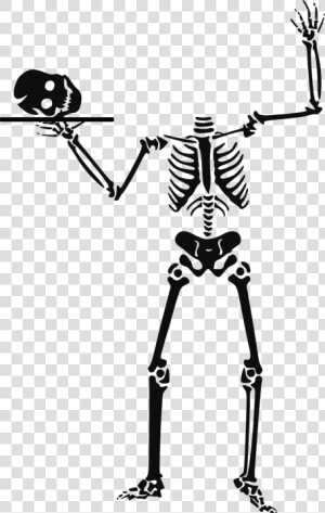 Skeleton 151169 960 720 Pixabay   Halloween Skeleton Clipart  HD Png Download