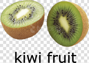 Free Png Kiwi Fruit Png Images Transparent   Kiwi Images With Name  Png Download