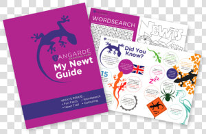 Newt Guide Showing Pages   Graphic Design  HD Png Download