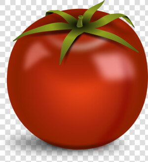 Tomato Clip Art Free Png   Transparent Background Tomato Clip Art  Png Download