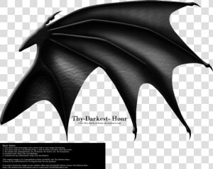 Dragon Wing Png   Transparent Black Dragon Wings  Png Download