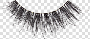 Huda Beauty Lashes Number 1  HD Png Download