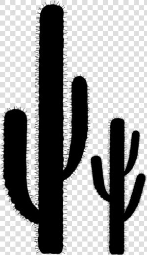 Cactus Silhouette   Cactus Png  Transparent Png