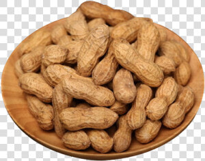 Peanut Png   Mani Png  Transparent Png