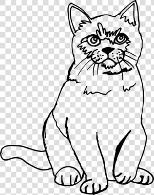 Cat Sketch Line Art Clip Arts   Cat Png Line Drawing  Transparent Png