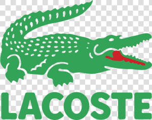 Lacoste Logo Vector   Lacoste Logo Svg  HD Png Download