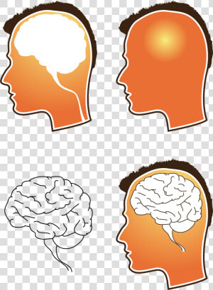 Free Vector Human Brain Vector   Free Vector Brain  HD Png Download