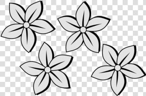 Drawing Photos Flower   Jasmine Flower Black And White  HD Png Download