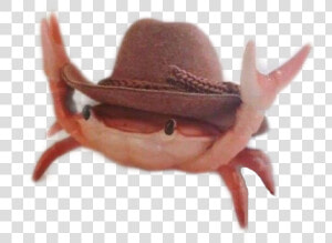  crab  california  summer  meme  memes  dank  crabs   Crab With Cowboy Hat  HD Png Download