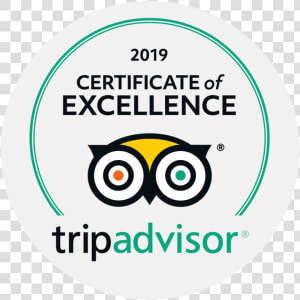 Trip Advisor  HD Png Download