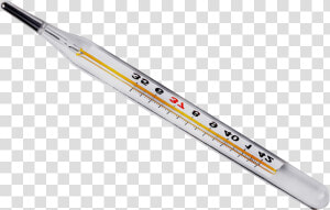 Thermometer Png   Transparent Thermometer Png  Png Download