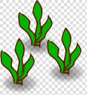 Kelp Forest Heavy   Kelp Clipart  HD Png Download