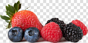 Download Berries Png Transparent 053   Berries Transparent Background  Png Download