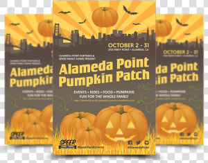 Pumpkin Patch The Client Asked For A Fun And Festive   Jack o  39  lantern  HD Png Download