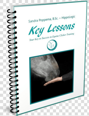 Key Lessons Your Key To Success In Equine Clicker Training  HD Png Download