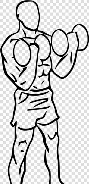 Dumbbell Curl Clip Art  HD Png Download