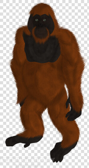 Scrapped Orangutan   Monkey  HD Png Download