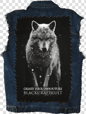 Lone Wolf   Back Patch   Baron Corbin Wolf T Shirt  HD Png Download