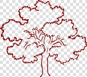 Brown Oak Tree Svg Clip Arts   Outline Pictures Of Tree  HD Png Download