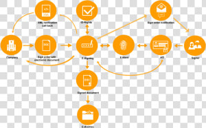 Overview   E Id Process  HD Png Download