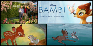 The Young Voices Of Bambi And Thumper   Cartoon  HD Png Download