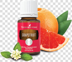 Young Living Grapefruit Essential Oil 15 Ml   Png Download   Young Living Grapefruit Essential Oil  Transparent Png