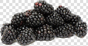 Transparent Blackberries Clipart   Blackberries Fruit Png  Png Download